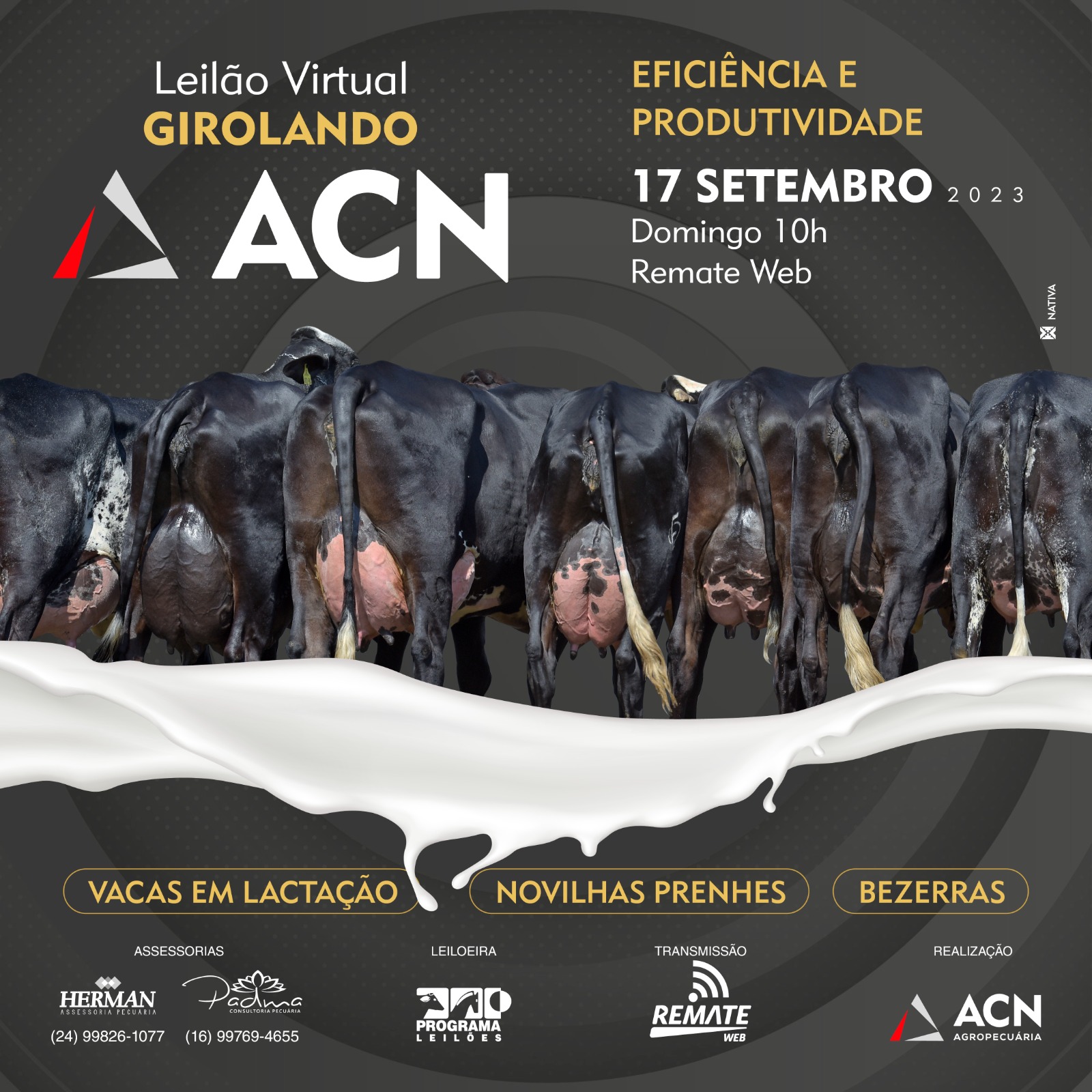 ACN promove Leilão Virtual Girolando no dia 17 de setembro