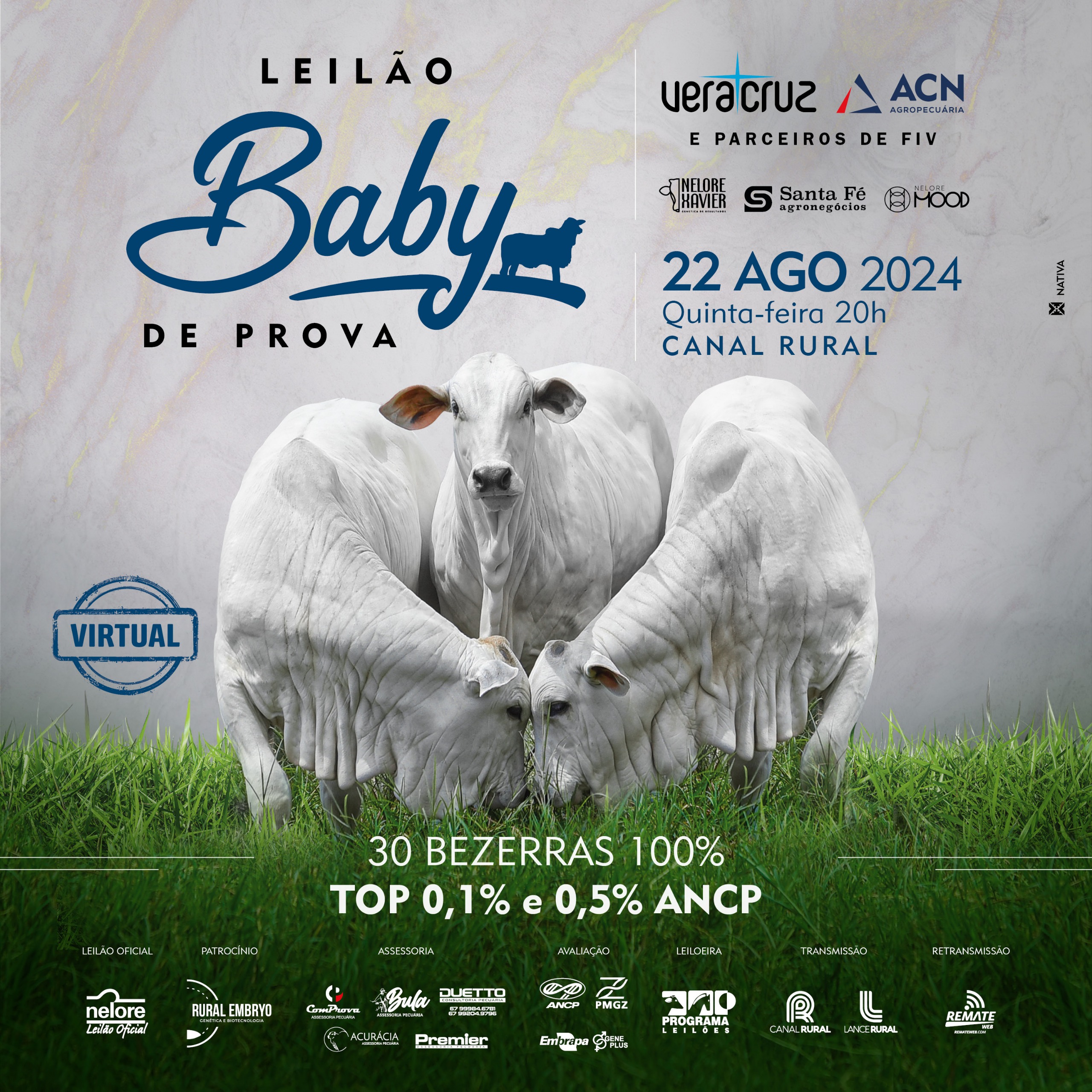 Leilão Baby de Prova inova com oferta de tops 0,1% e 0,5%